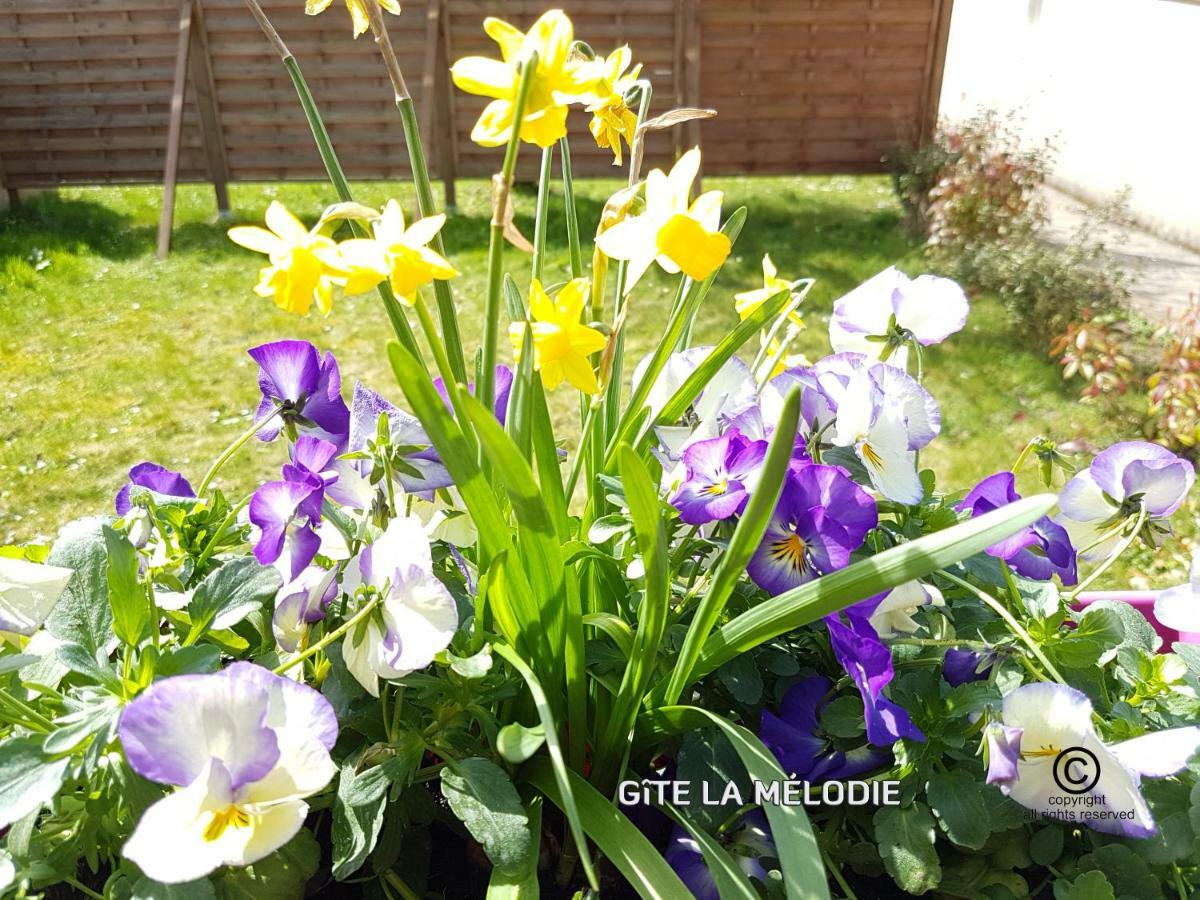 Gite La Melodie Longueville  Ngoại thất bức ảnh